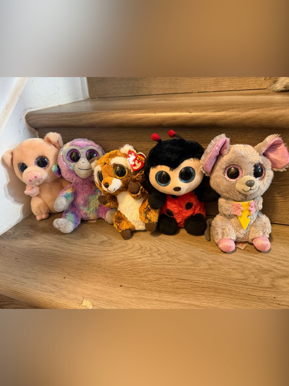 Lot of 5 TY Beanie Boos Plush – Zuri, Pigley, Rusty, Squeaker & Izzy